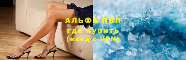 прущие грибы Баксан