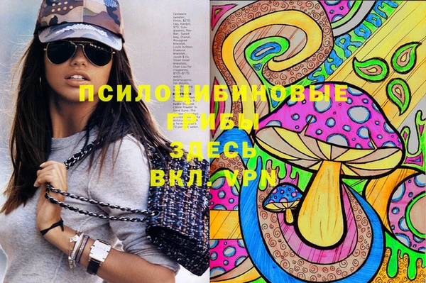 прущие грибы Баксан