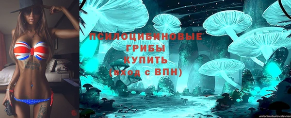 гашик Переславль-Залесский